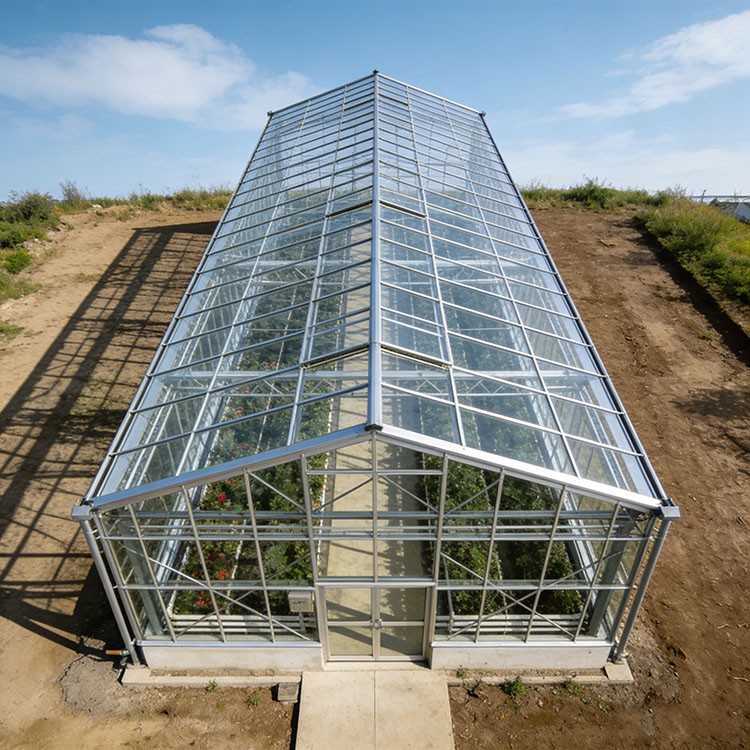 Steel Structure Greenhouse factory