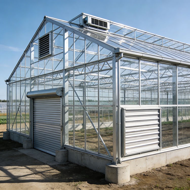 Steel Structure Vegetable Shed suppliers